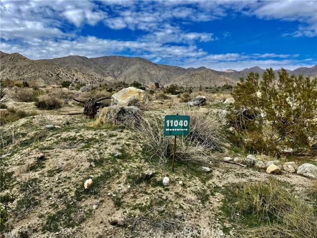 Morongo Valley, CA 92256,11040 Mescalero