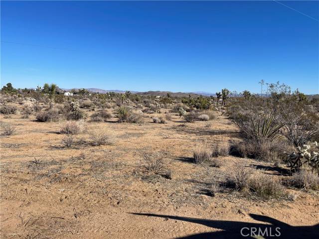 Yucca Valley, CA 92284,0 Cieltio