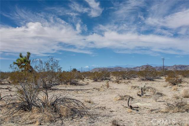 Joshua Tree, CA 92252,4444 Gold Nugget