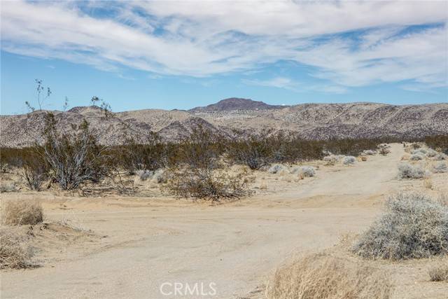 Joshua Tree, CA 92252,4444 Gold Nugget