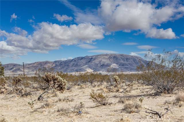 Joshua Tree, CA 92252,4444 Gold Nugget