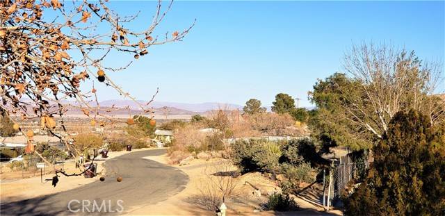 Joshua Tree, CA 92252,61625 Alta Vista Drive