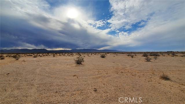 29 Palms, CA 92277,0 Kelly