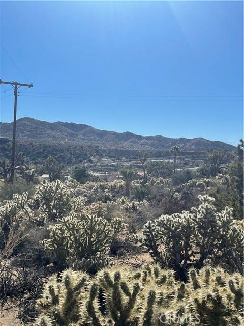 Yucca Valley, CA 92284,11 Pinon