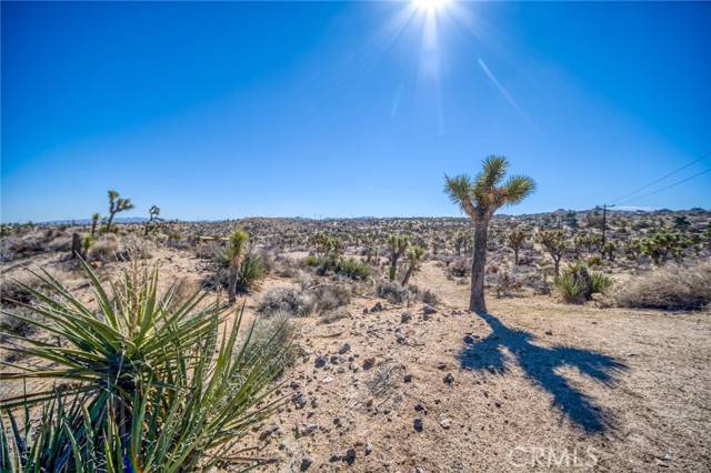 Yucca Valley, CA 92284,56375 Paseo Los Ninos