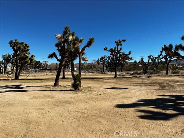 Yucca Valley, CA 92284,56581 Cassia Drive