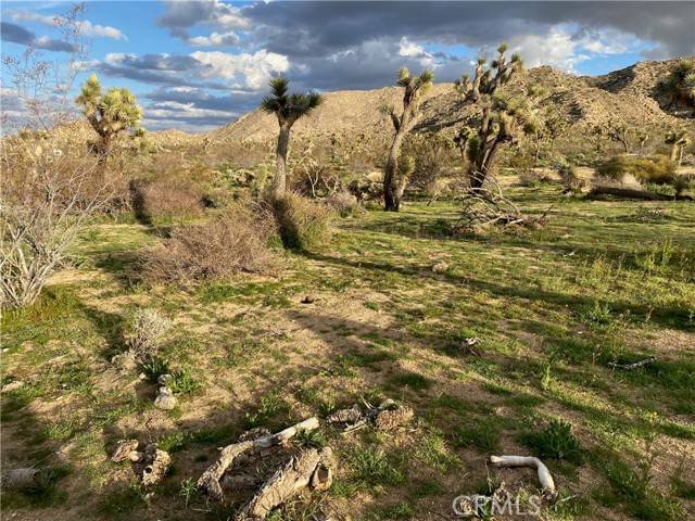 Joshua Tree, CA 92252,59488 Onaga