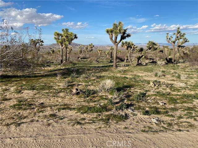 Joshua Tree, CA 92252,59488 Onaga