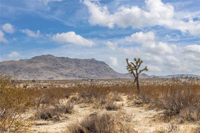 Joshua Tree, CA 92252,1000 Manana