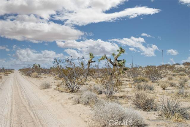 Joshua Tree, CA 92252,1000 Manana