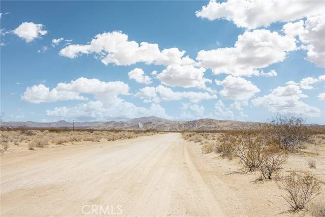 Joshua Tree, CA 92252,65100 Reagan