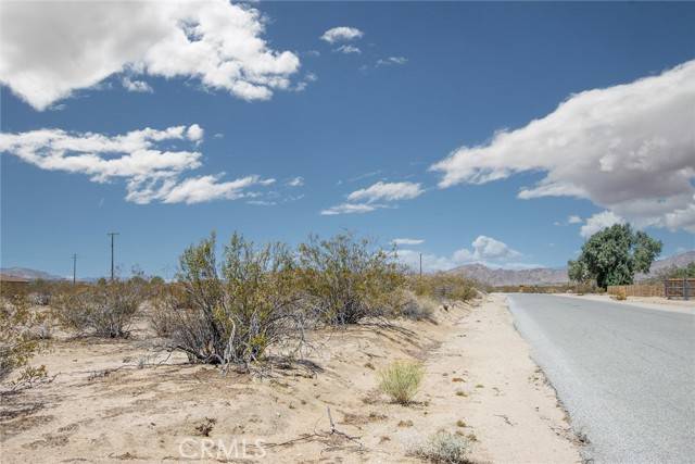 Joshua Tree, CA 92252,63400 Walpi