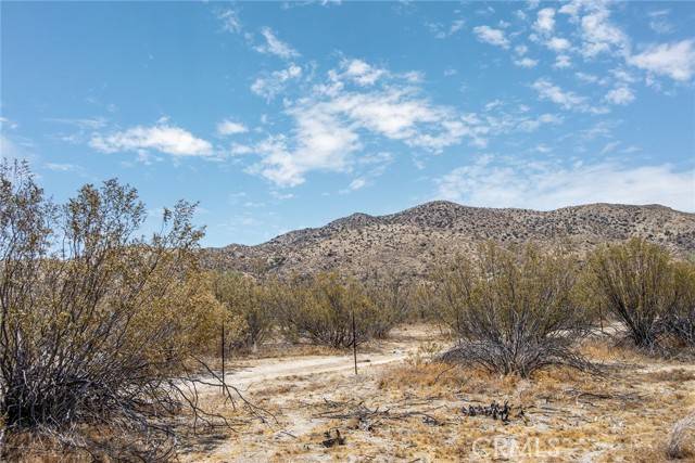 Morongo Valley, CA 92256,50253 Twentynine Palms