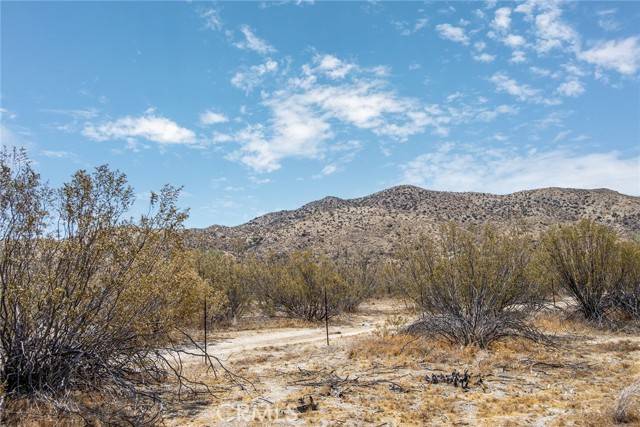 Morongo Valley, CA 92256,50253 Twentynine Palms