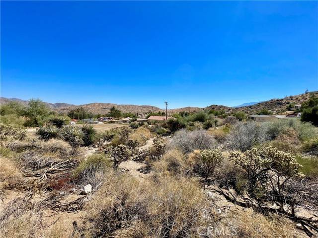 Morongo Valley, CA 92256,5 Hibiscus