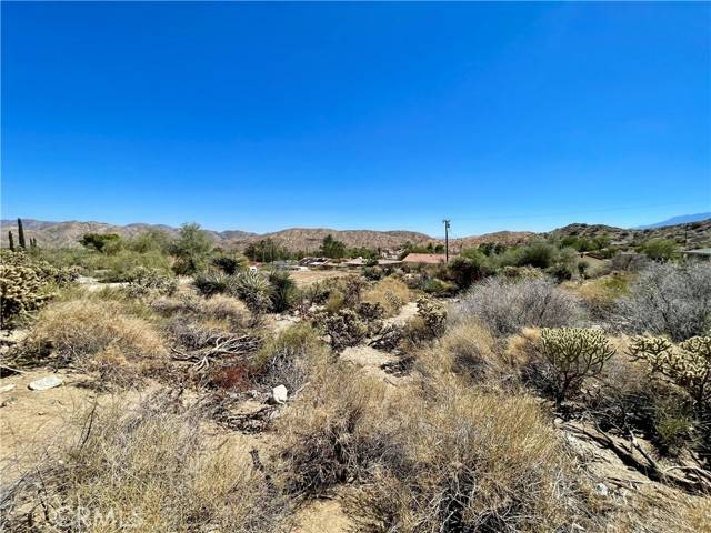 Morongo Valley, CA 92256,5 Hibiscus