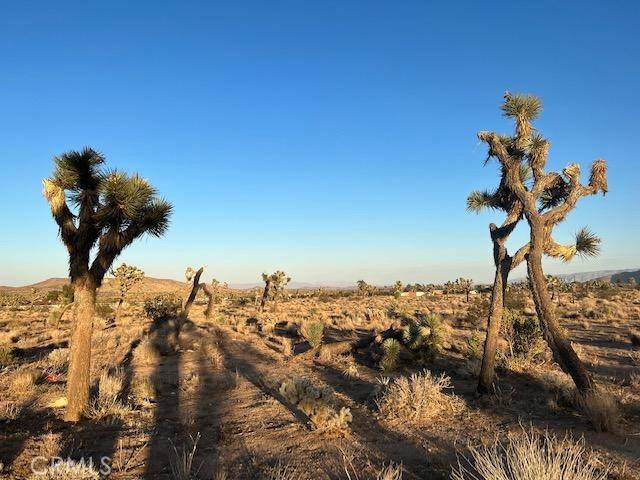 Yucca Valley, CA 92284,2801 Avalon