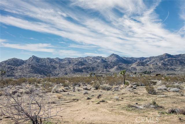 Joshua Tree, CA 92252,8776 Uphill