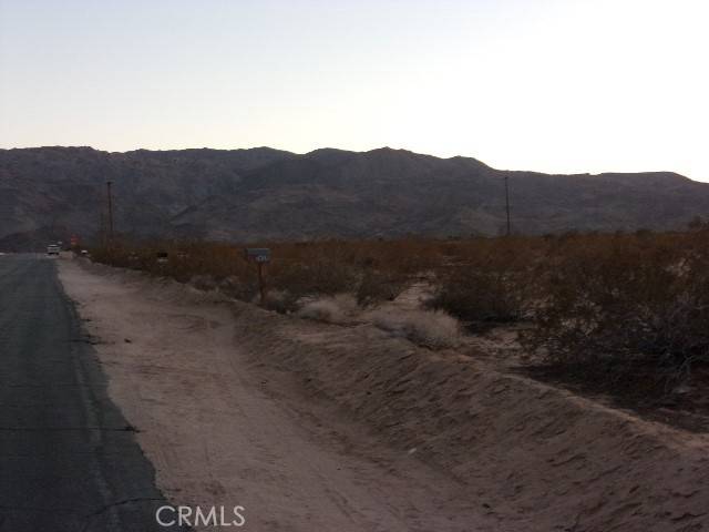 29 Palms, CA 92277,0 Encelia