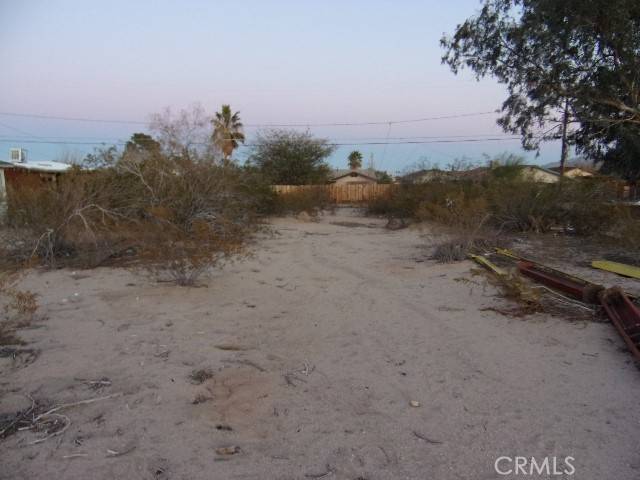 29 Palms, CA 92277,0 Encelia