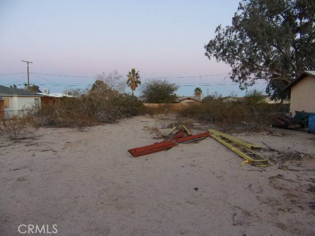 29 Palms, CA 92277,0 Encelia