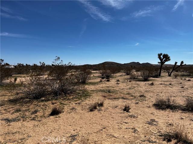 Landers, CA 92285,175 Rainbow