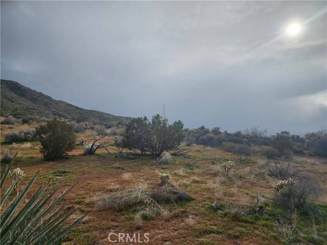 Morongo Valley, CA 92256,0 Cedar