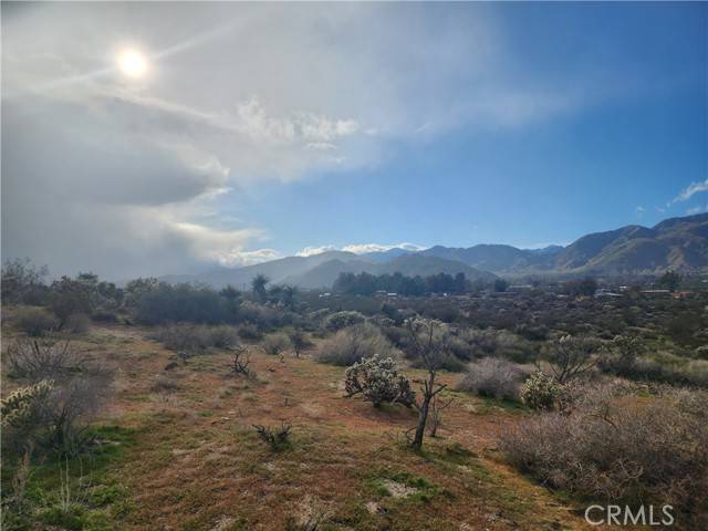 Morongo Valley, CA 92256,0 Cedar