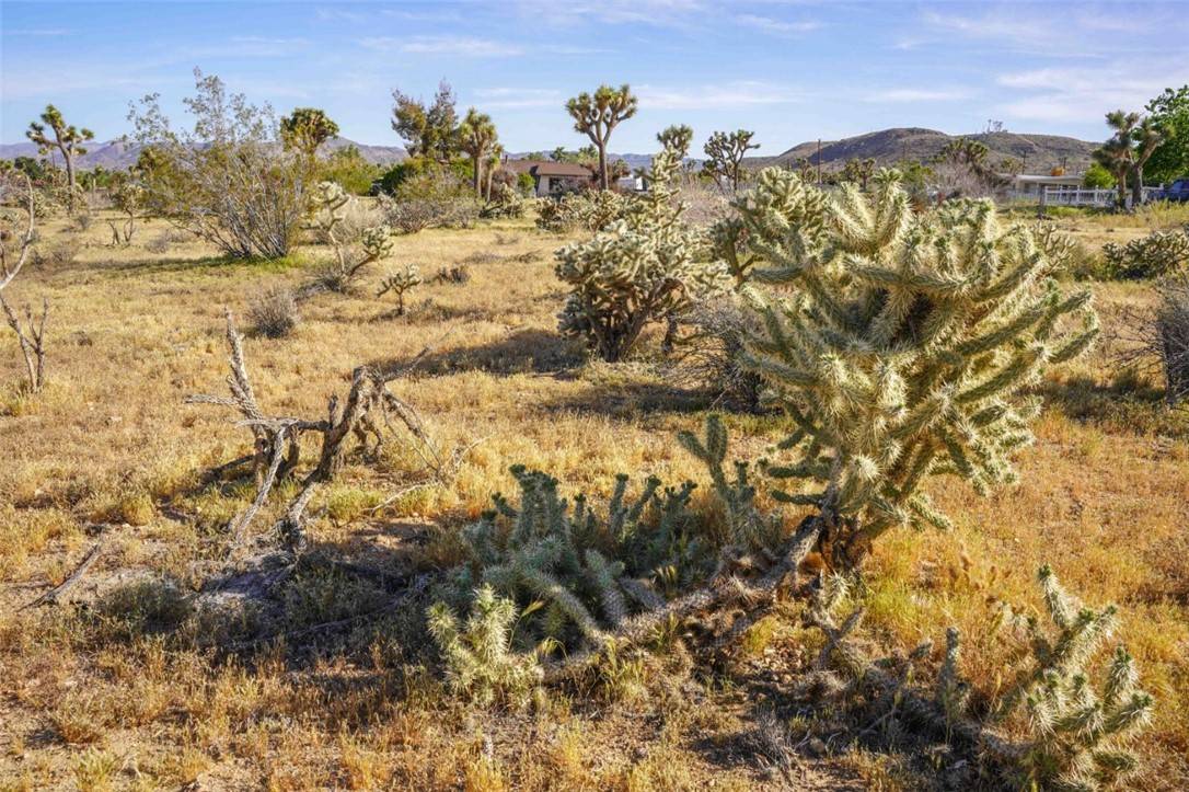 Yucca Valley, CA 92284,58676 Sun Oro