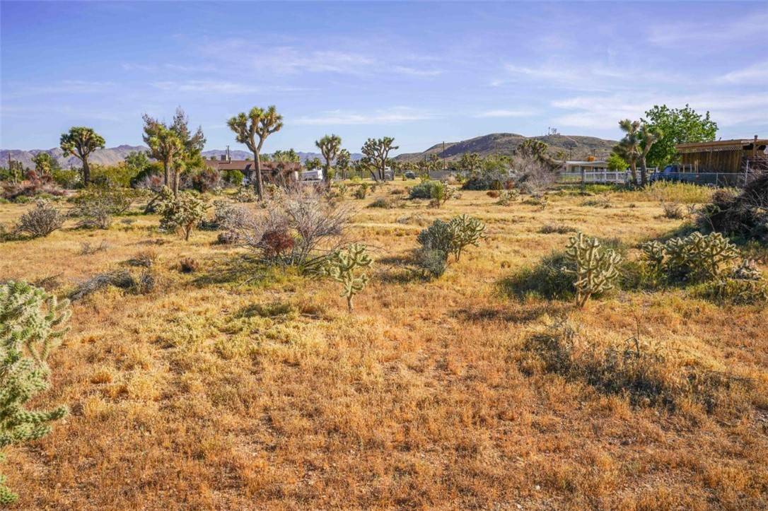 Yucca Valley, CA 92284,58676 Sun Oro