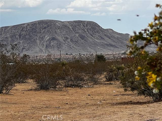 Landers, CA 92285,0 Castillo