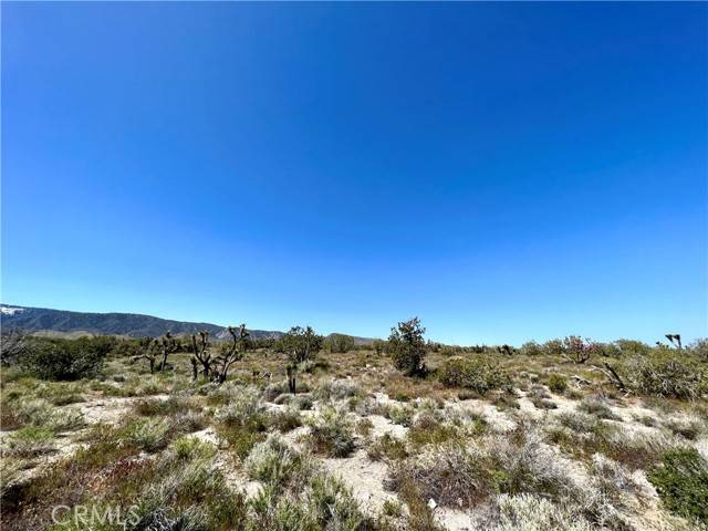 Llano, CA 93544,0 Vac/Vic Avenue Z8/258 Ste