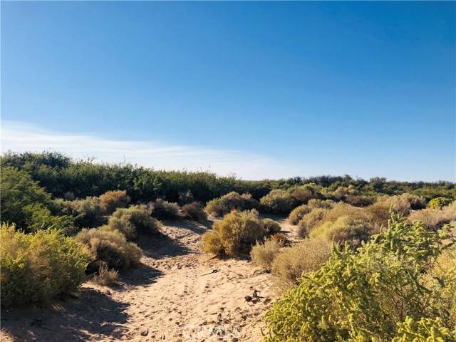 29 Palms, CA 92277,0 E Of Mesquite Spr