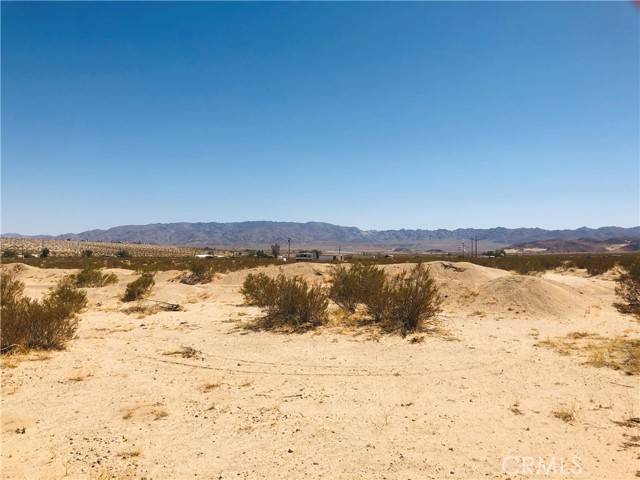 29 Palms, CA 92277,2 Kachina