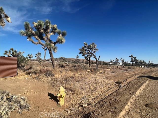 Yucca Valley, CA 92284,111 Wallaby