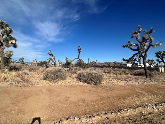 Yucca Valley, CA 92284,111 Wallaby