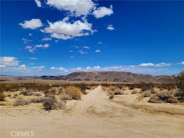 Joshua Tree, CA 92252,61744 Sullivan