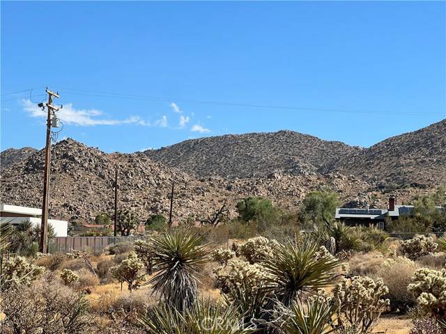 Joshua Tree, CA 92252,61167 Melton