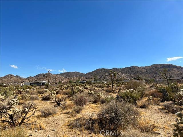 Joshua Tree, CA 92252,61167 Melton