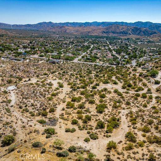 Morongo Valley, CA 92256,0 Tamarisk