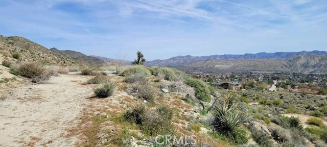 Morongo Valley, CA 92256,0 Tamarisk