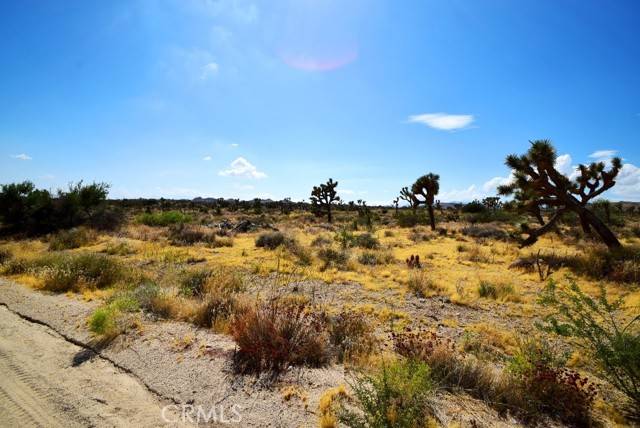 Yucca Valley, CA 92284,0 Elata