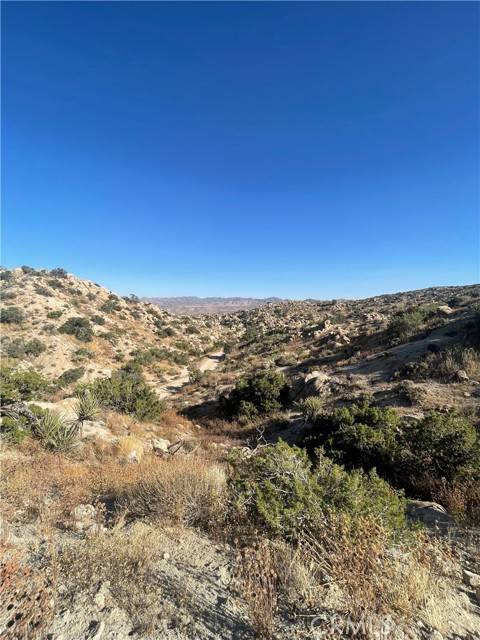 Yucca Valley, CA 92284,0 Nelson