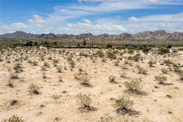 Joshua Tree, CA 92252,64532 Chollita