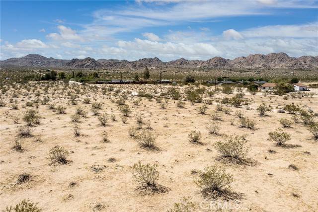 Joshua Tree, CA 92252,64532 Chollita