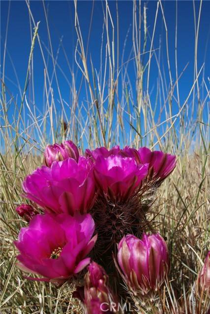 Yucca Valley, CA 92284,0 Aberdeen