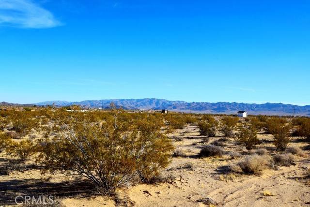 Joshua Tree, CA 92252,0 Milky Way