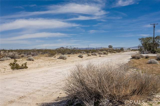 Joshua Tree, CA 92252,62300 Calle Los Amigos