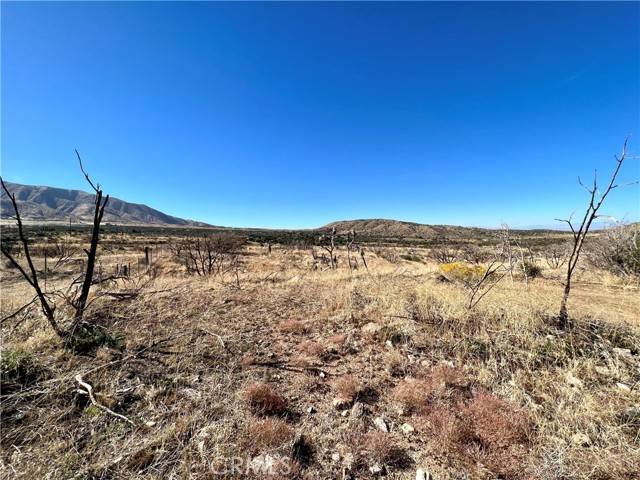 Juniper Hills, CA 93543,0 Tumbleweed Rd Vic Piani