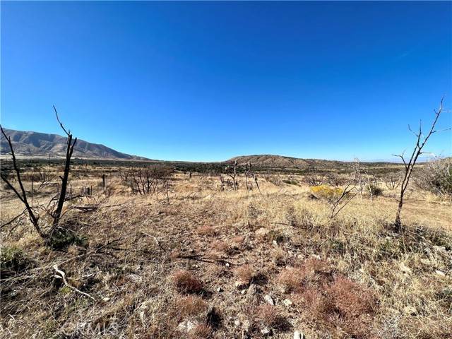 Juniper Hills, CA 93543,0 Tumbleweed Rd Vic Piani